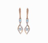 Earrings With gemstones 17097499